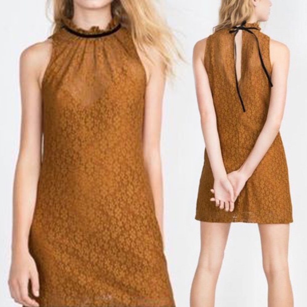 Zara mustard lace shift dress